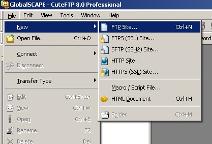 cuteftp pro new ftp site